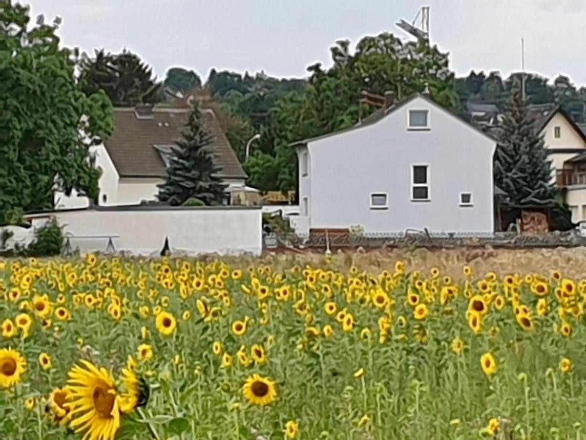 Haus Im Gruenen Villa Bornheim  Luaran gambar